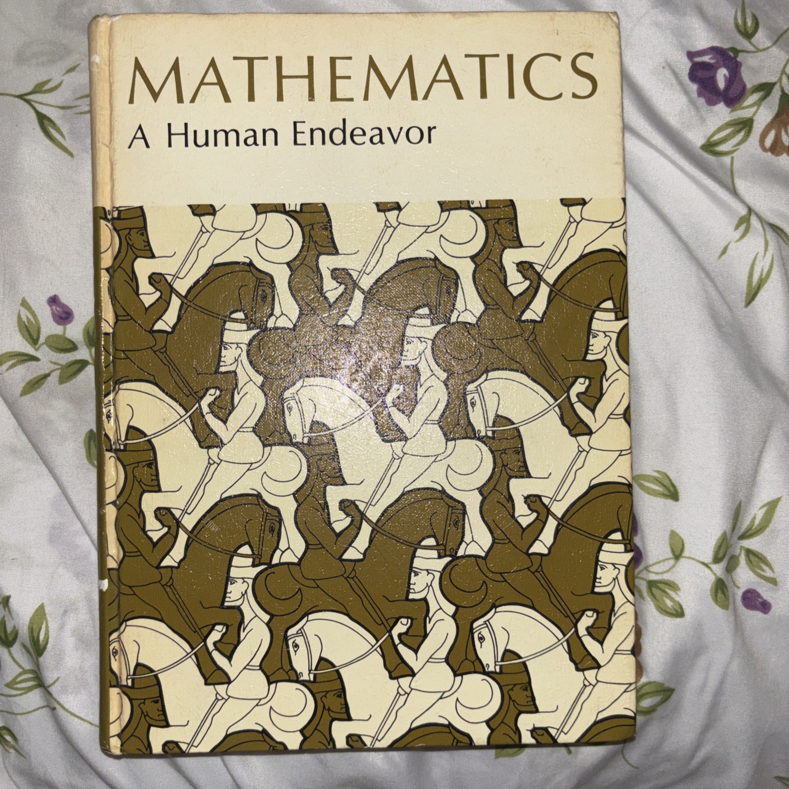 Mathematics: A Human Endeavor by Harold R Jacobs (hardcover, 1970) EUC VTG
