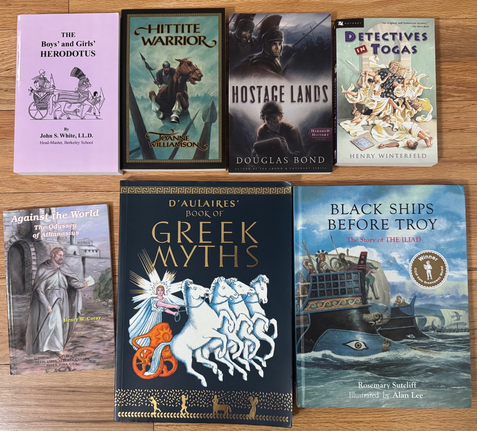 Veritas Press Grade 3 BOOK LOT of 7 Homeschool Titles