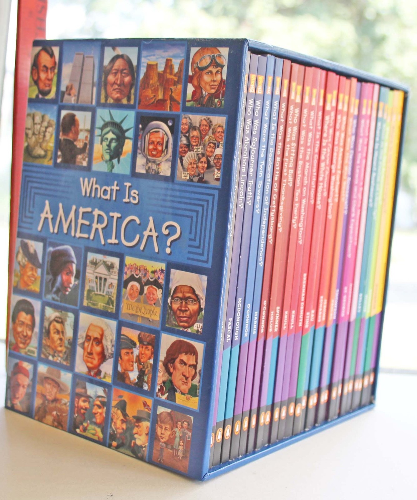 What Is America 25 Boxed Book Set Home Schooling Penguin Random House VG