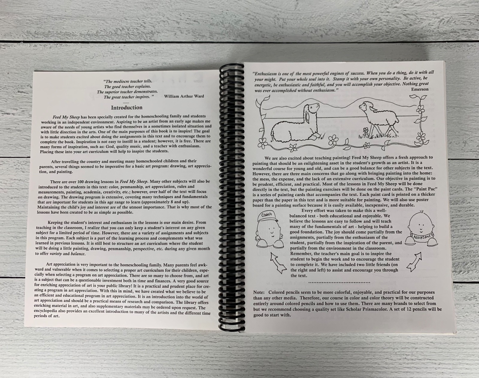 Feed My Sheep Art Curriculum Spiral bound by Barry Stebbing Book Homeschool