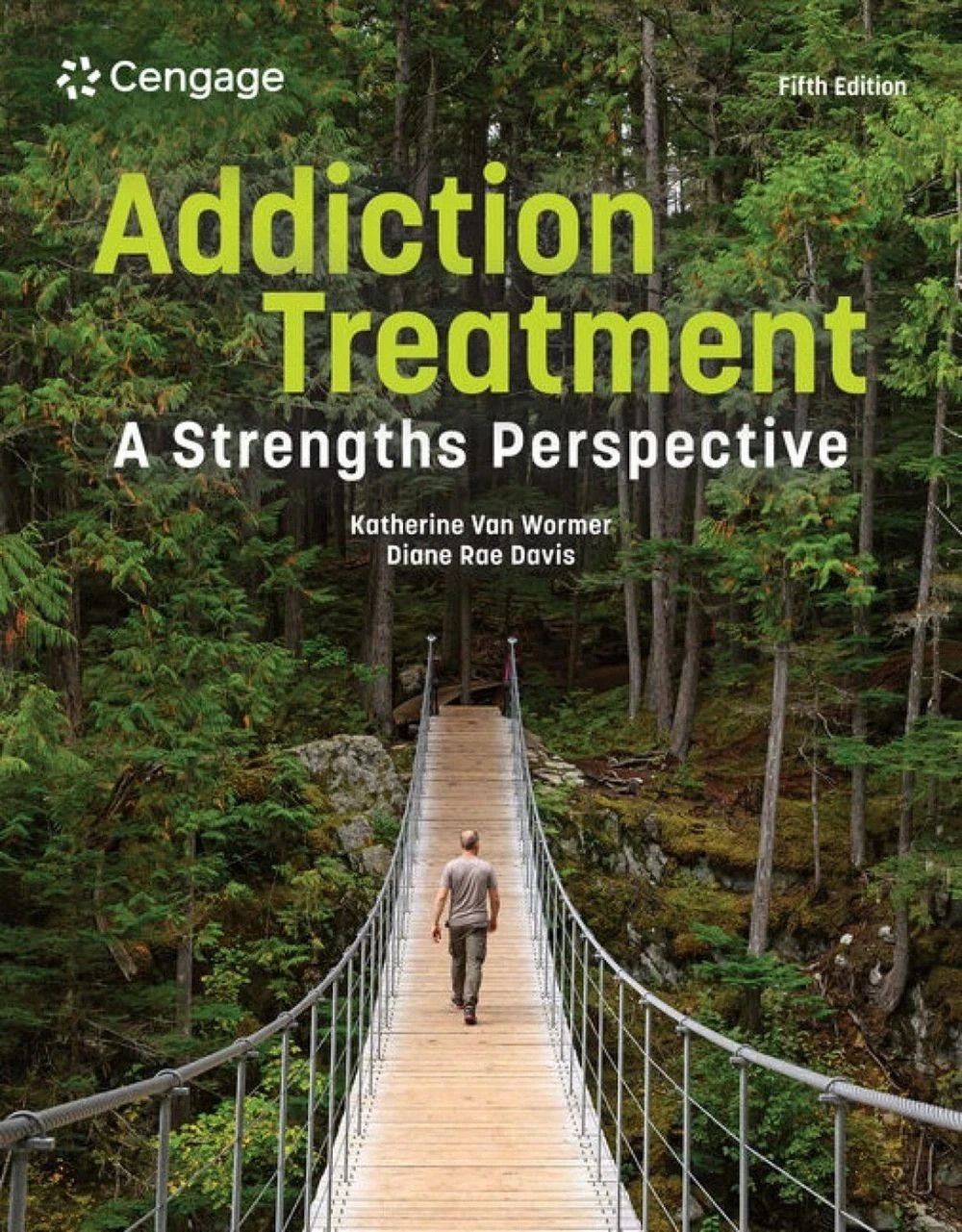 Addiction Treatment: A Strengths Perspective by Diane Davis Paperback Book