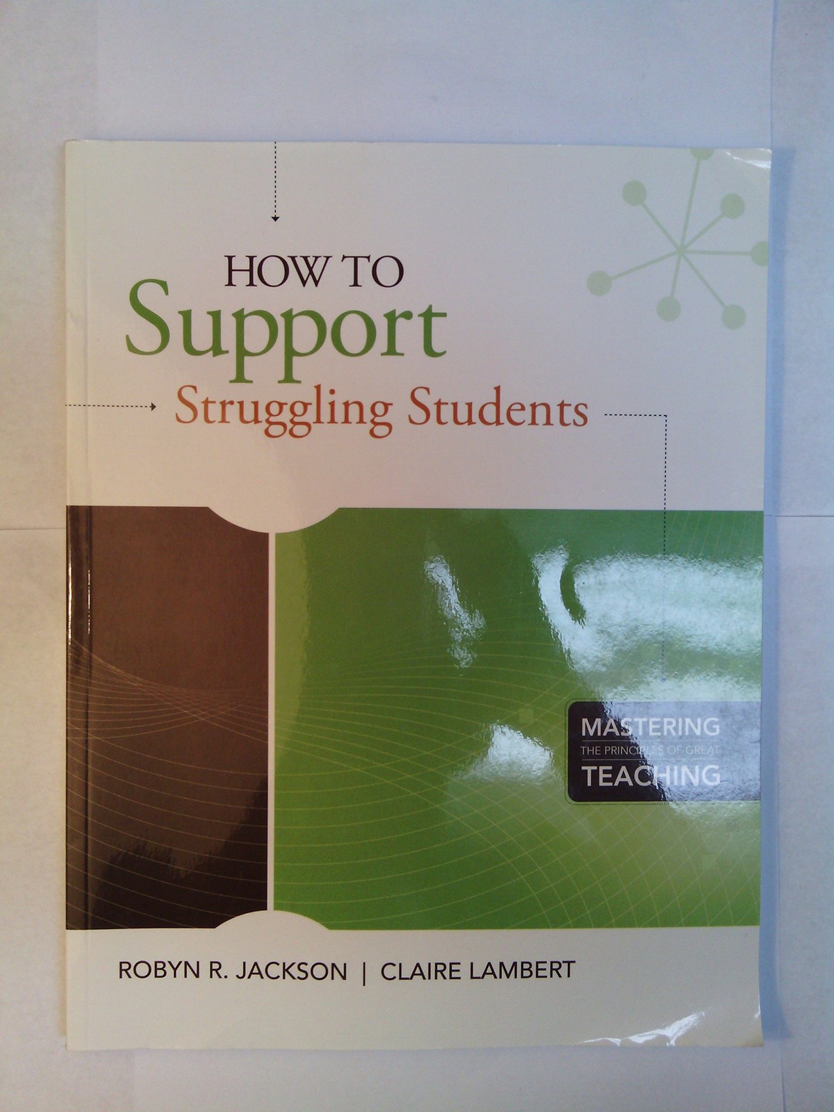 How to Support Struggling Students: (Mastering the Principles of Great Teach…