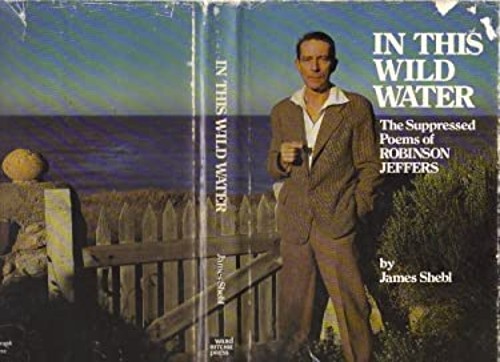 In This Wild Water : The Suppressed Poems of Robinson Jeffers Jam