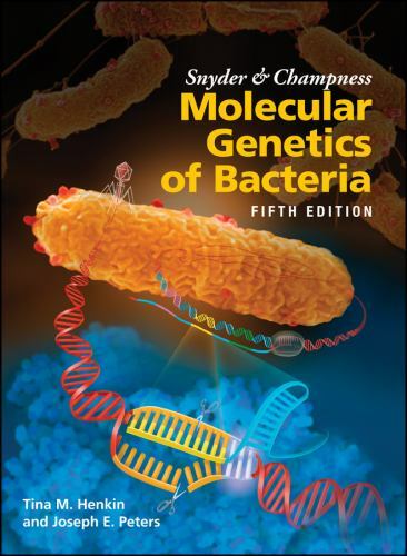 Asm Bks.: Snyder and Champness Molecular Genetics of Bacteria by Joseph E….
