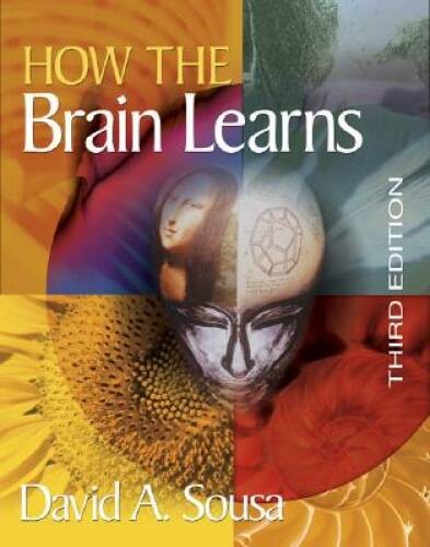 How the Brain Learns – Paperback By Sousa, David A. – VERY GOOD