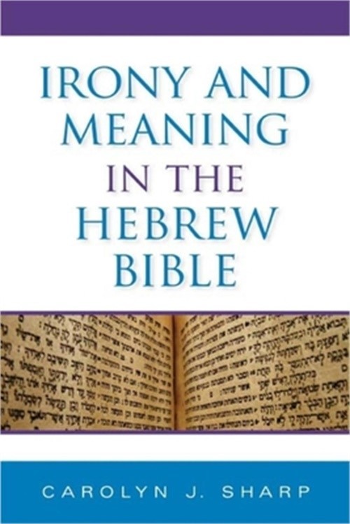 Irony and Meaning in the Hebrew Bible (Hardback or Cased Book)