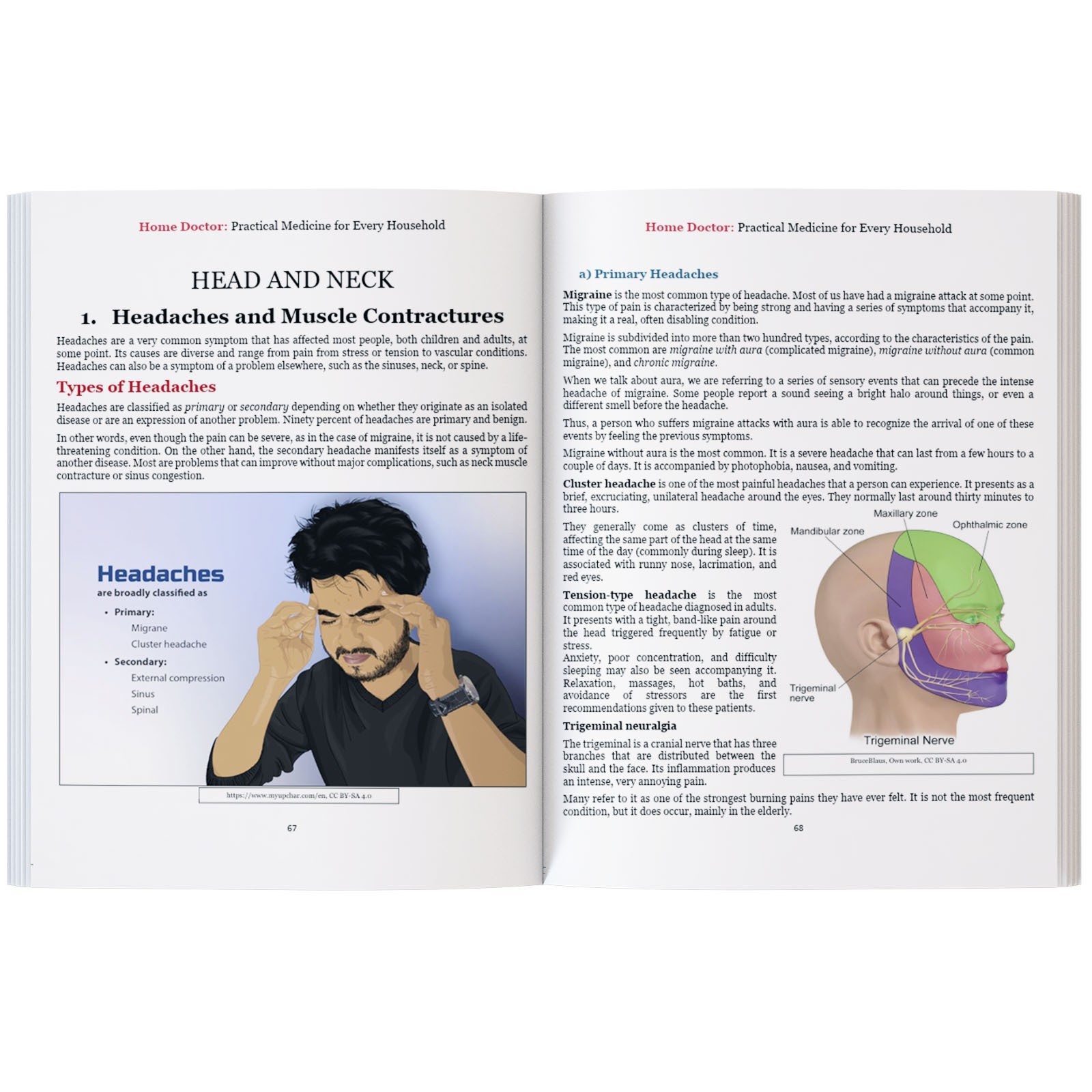 Home Doctor – Practical Medicine for Every Household Paperback