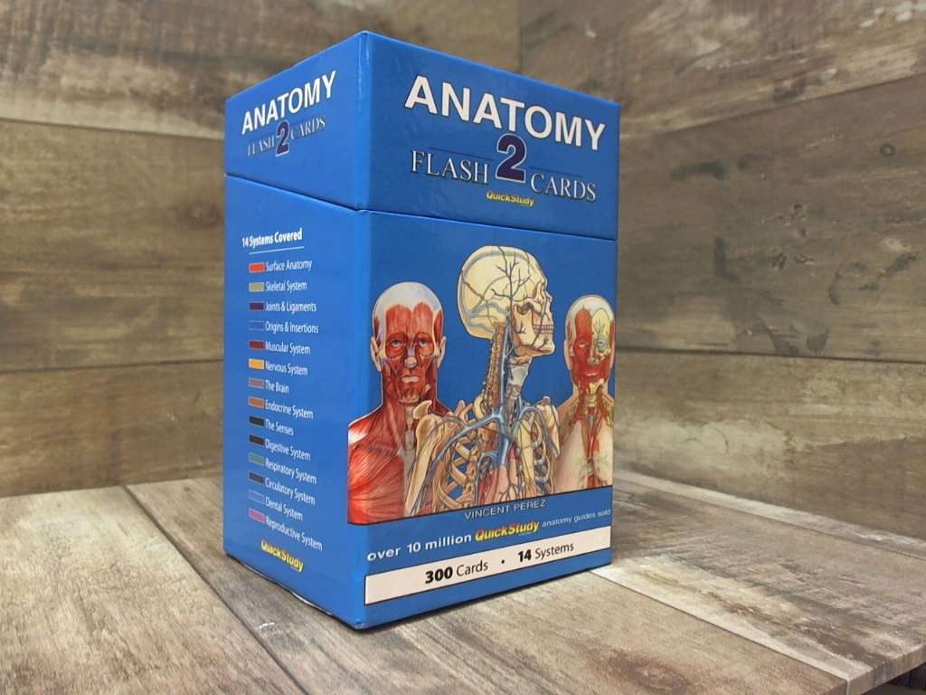 Anatomy 2 Flash Cards QuickStudy Reference Tool by Vincent Perez QuickStudy Ref