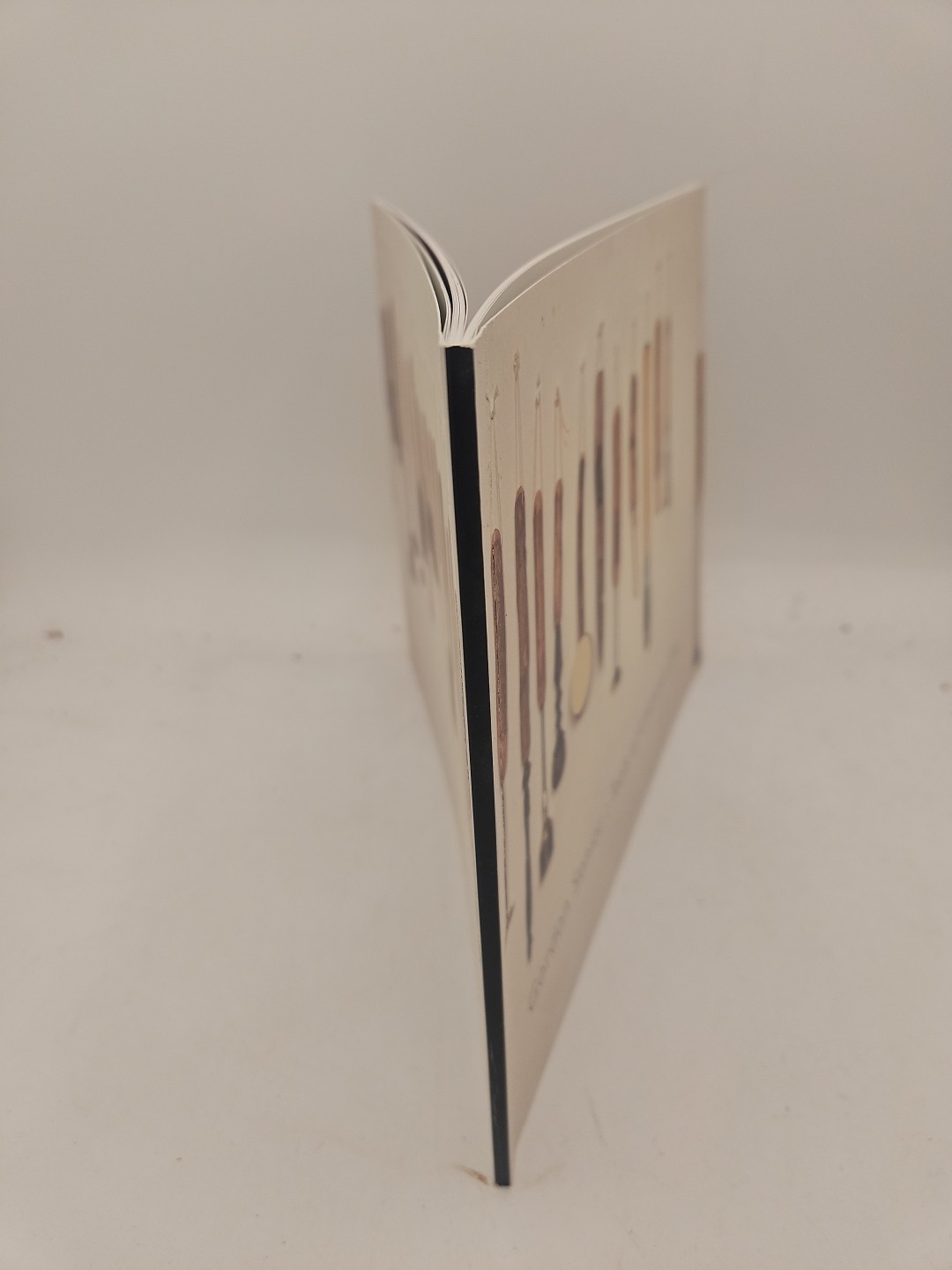 Tools of Unknown Use and Other Works with writings by David Olivant Softcover L1