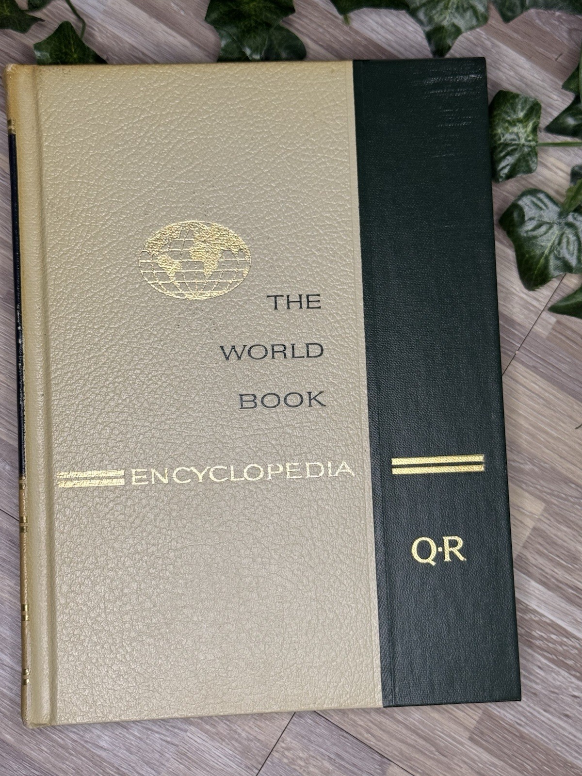 The World Book Encyclopedia Book Q-R Vol 16, Published In 1966, Vintage