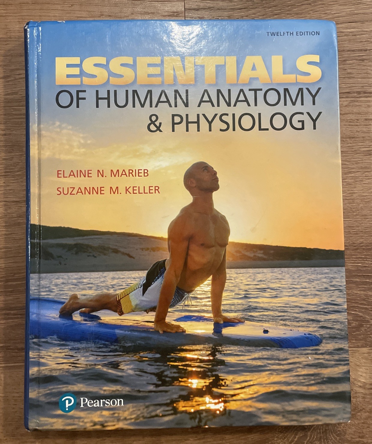 Essentials of Human Anatomy and Physiology 12th Ed Marieb Keller Hard Cover