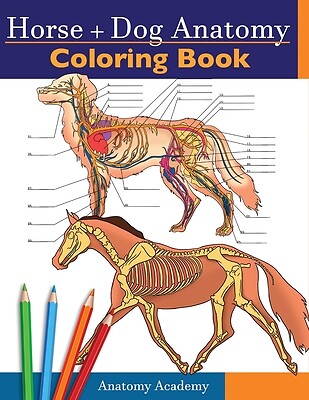 Horse + Dog Anatomy Coloring Book: 2-in-1 Compilation Incredibly Detailed Self