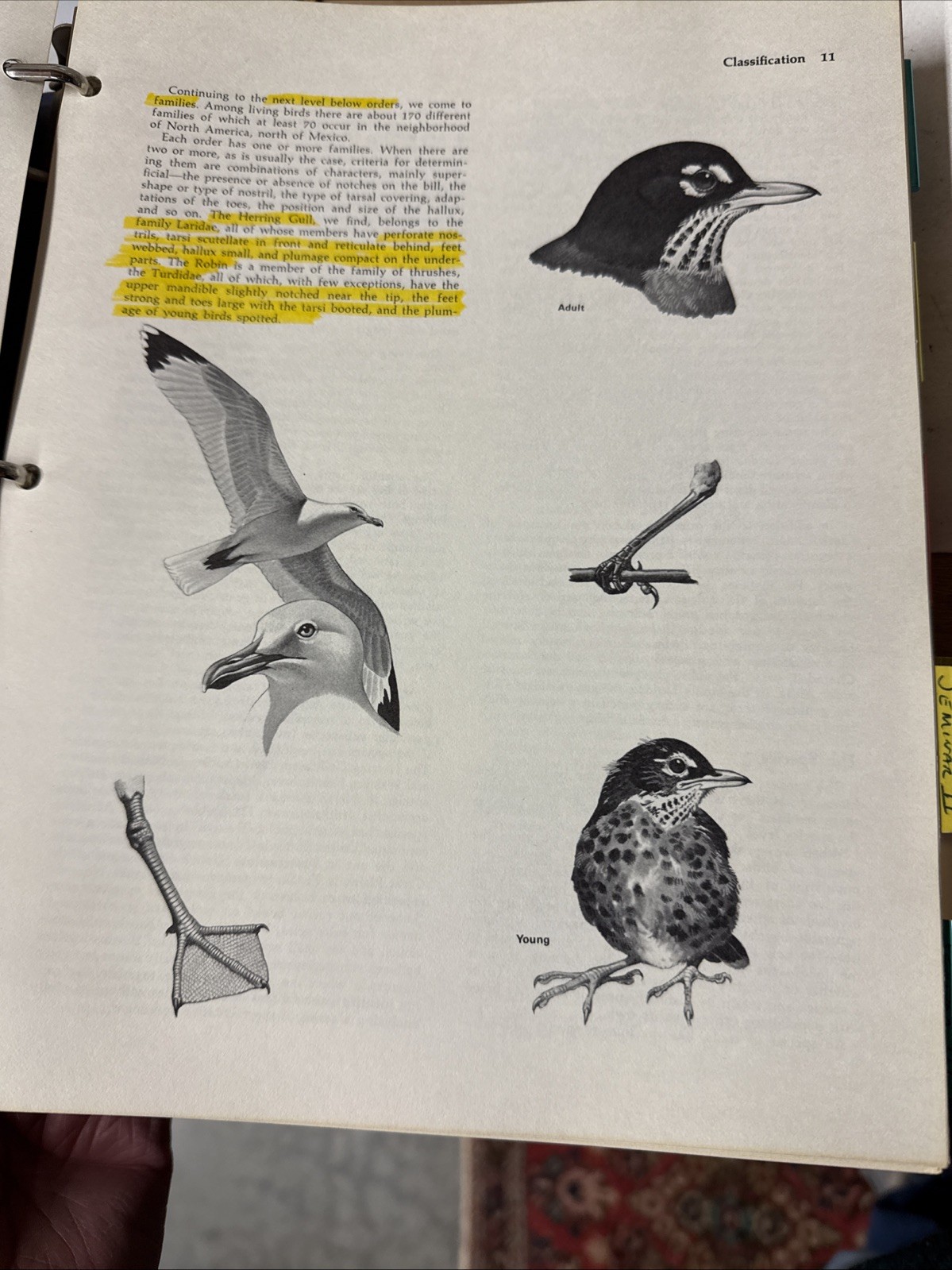 Cornell Lab of Ornithology Bird Biology Home Study Course 1977 4th Printing