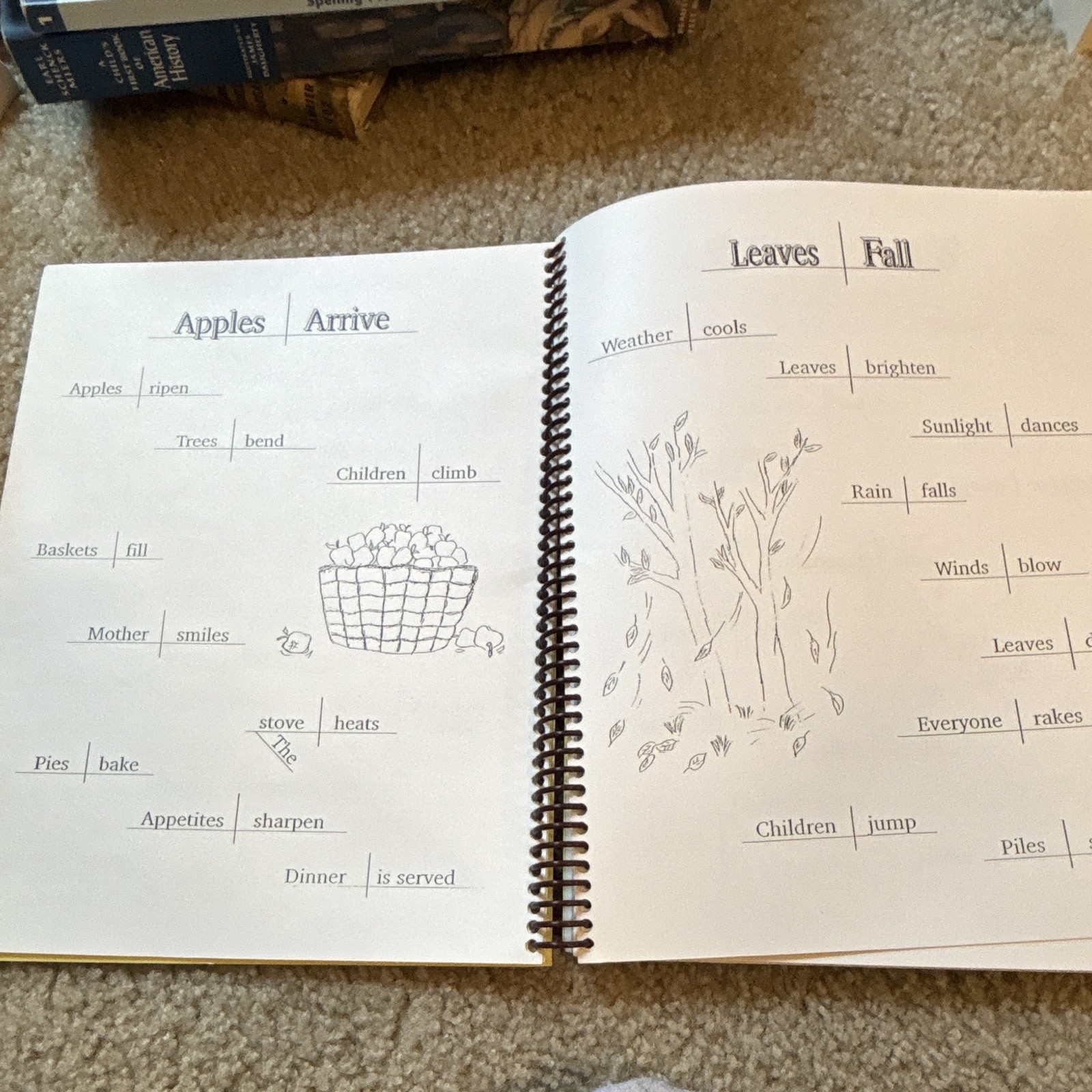 The First Whole Book of Diagrams by Mary Daly Spiral Grammar Textbook