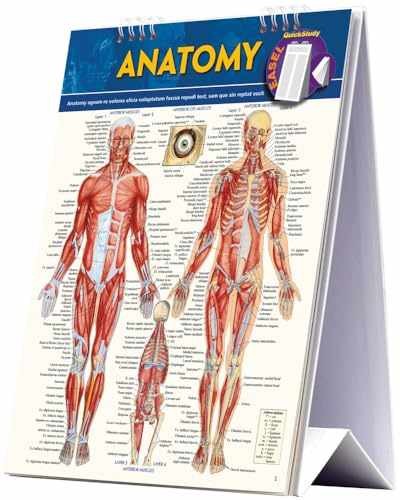 Anatomy Easel Book: a QuickStudy – Spiral-bound, by Vincent Perez – Acceptable