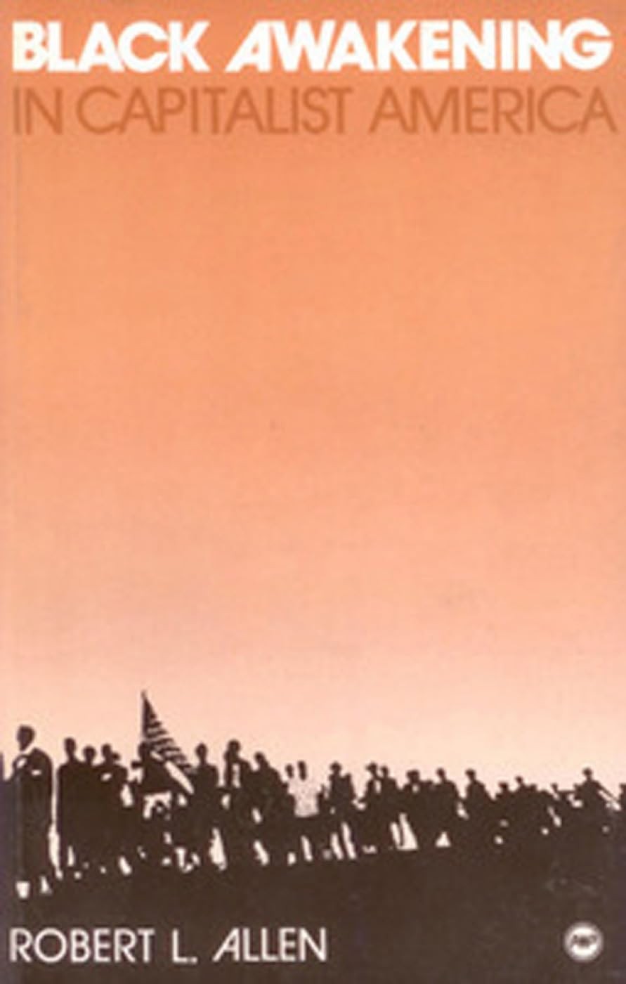 Black Awakening in Capitalist America: An Analytic History by Allen