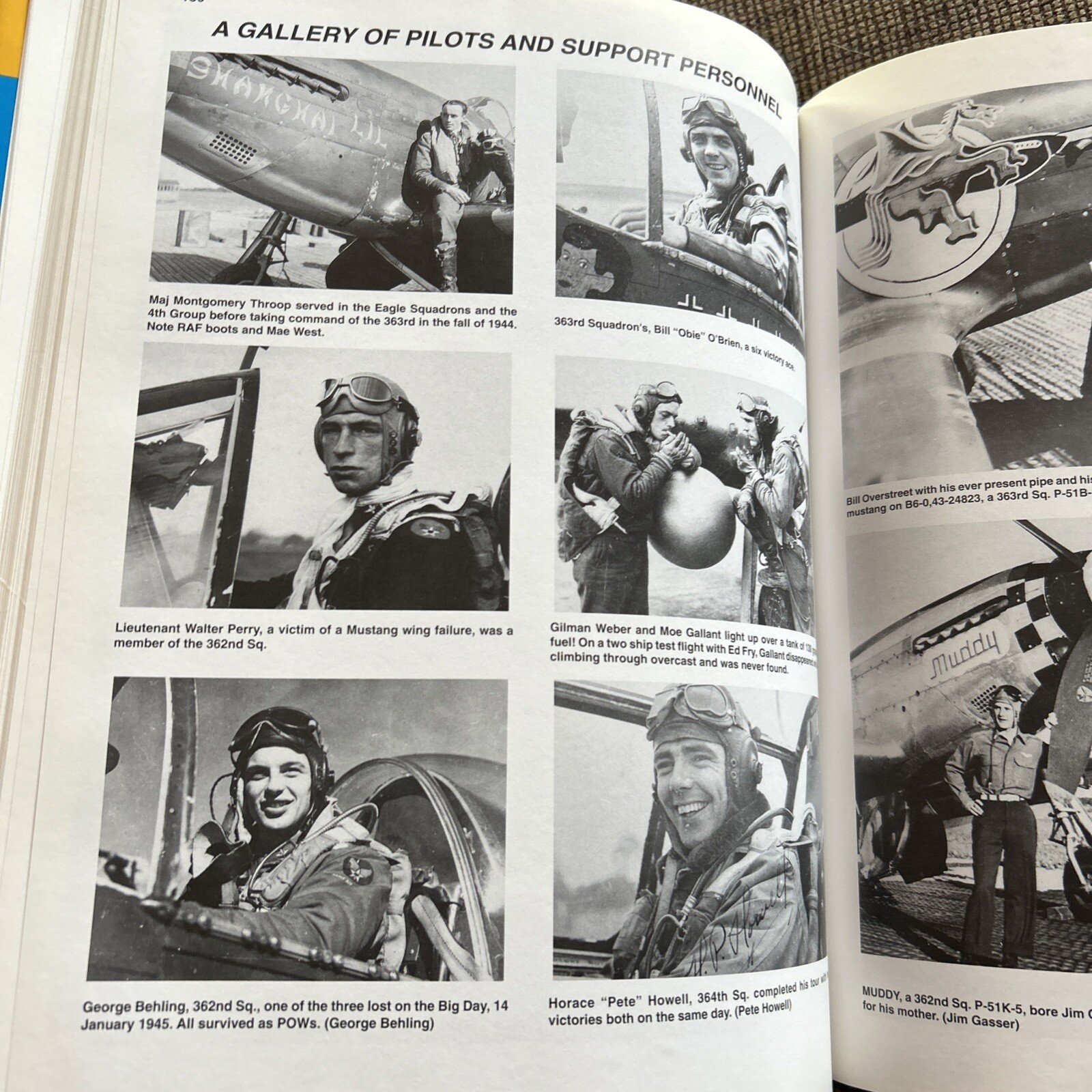 The Three Hundred Fifty-Seventh over Europe: The 357th Fighter Group in World W,