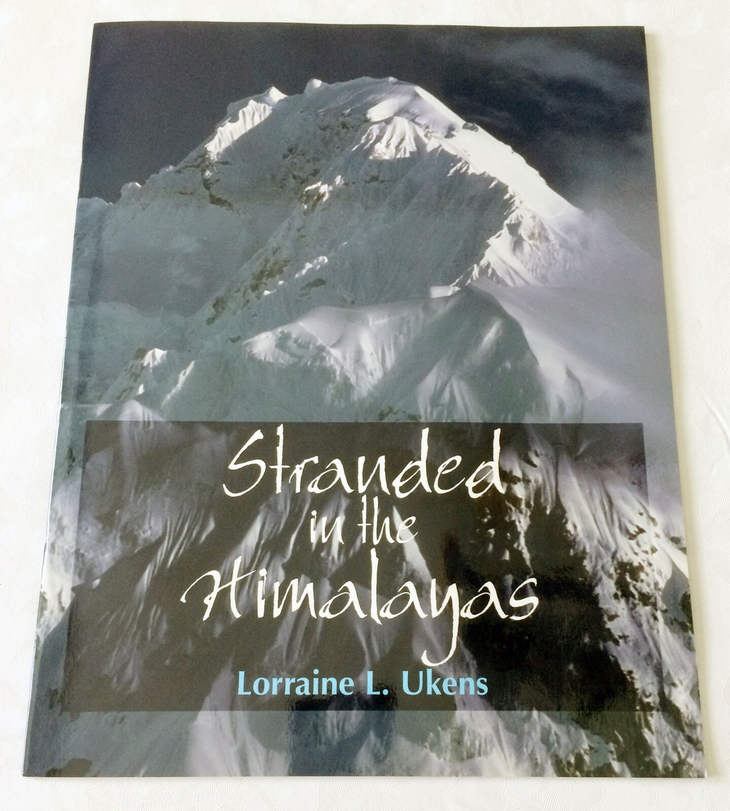 Lorraine Ukens STRANDED IN THE HIMALAYAS Business Activity 978-0-7879-3970-0 NEW