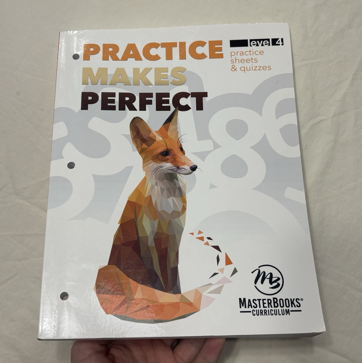 Practice Makes Perfect Level 4 Practice Sheets & Quizzes O&rsquo;Dell PB
