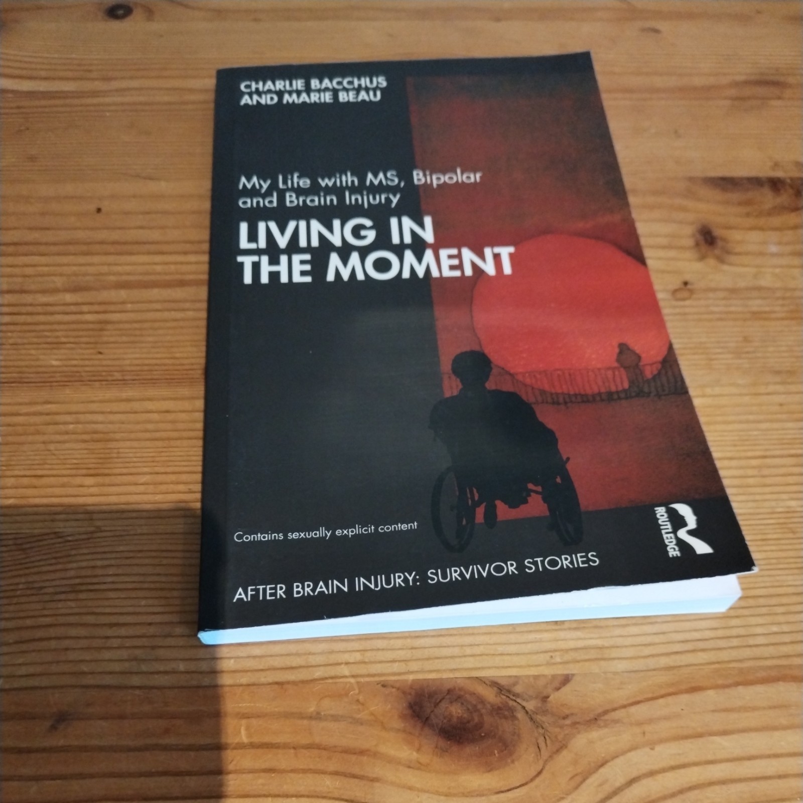 After Brain Injury: Survivor Stories Ser.: Living in the Moment with Brain…