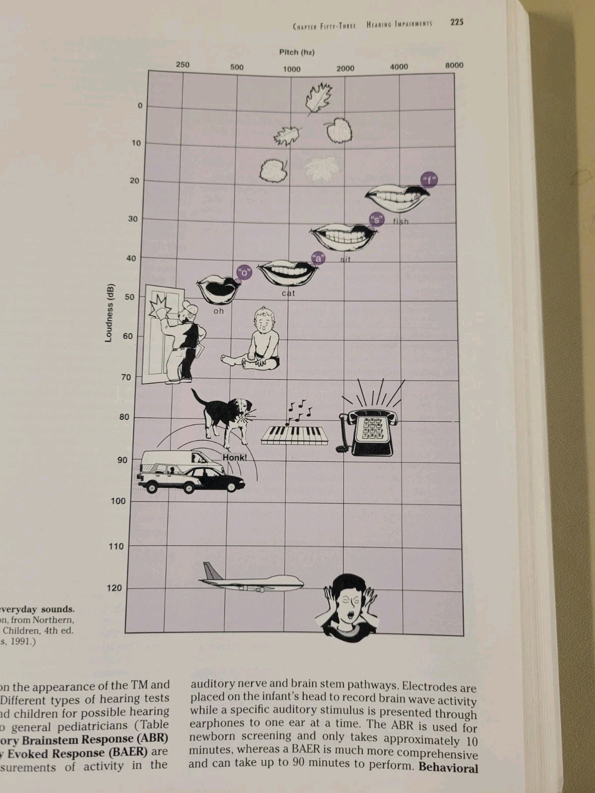 PEDIATRICS A PRIMARY CARE APPROACH by Carol Berkowitz (2000, Paper) GOOD