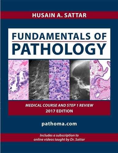 Fundamentals of Pathology – Paperback, by Sattar Husain A. – Acceptable n