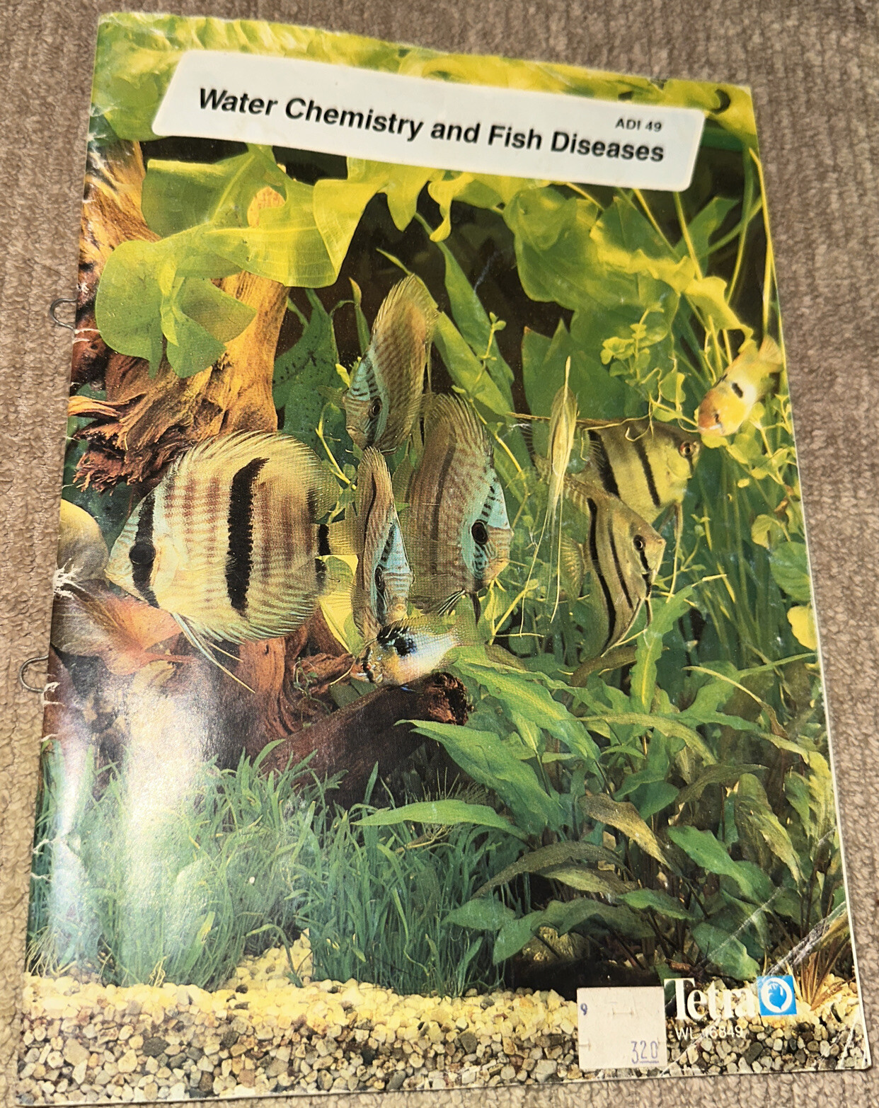 Water Chemistry And Fish Diseases – Tetra