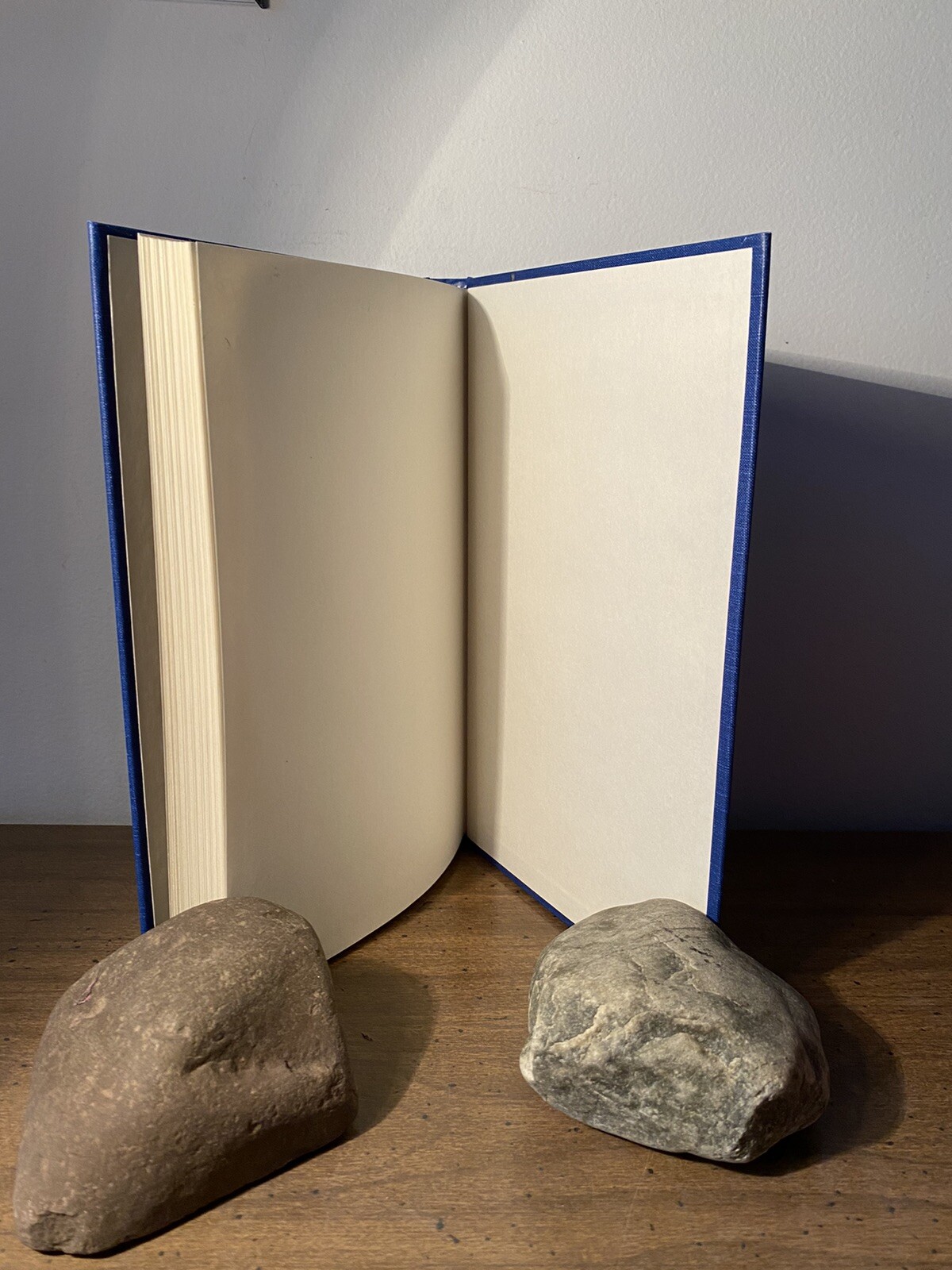 Joseph F. Rychlak Artificial Intelligence and Human Reason (Hardback) First Ed