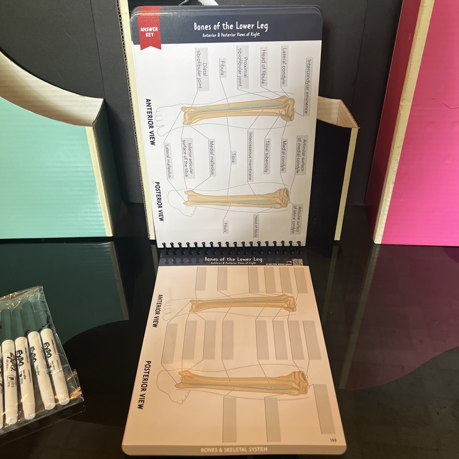 Nurse In The Making Anatomy Label Lab Workbook Laminated Spiral Bound