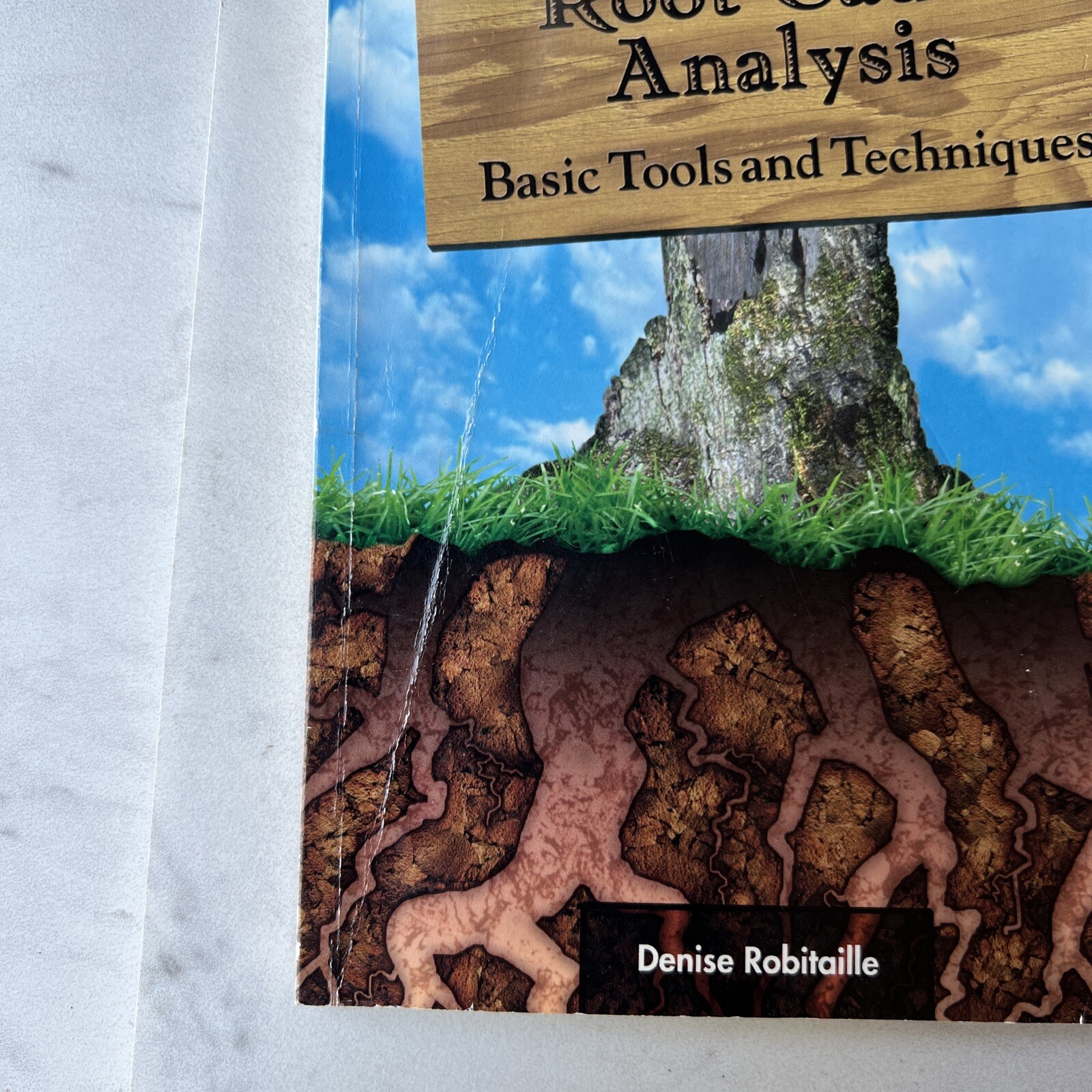 Root Cause Analysis : Basic Tools and Techniques by Denise Robitaille (2004,…