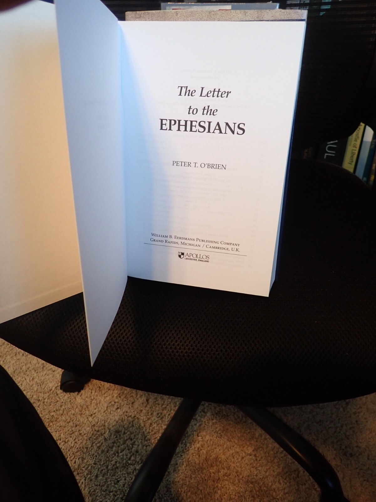 The Letter to the Ephesians (PNTC)