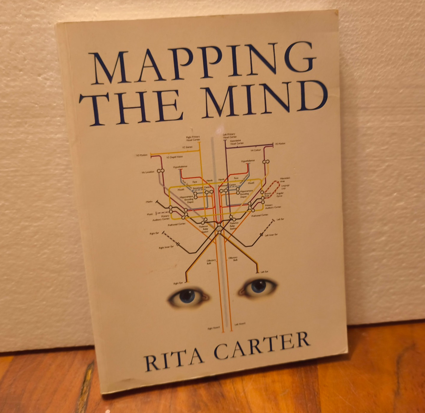 Mapping The Mind by Carter, Rita