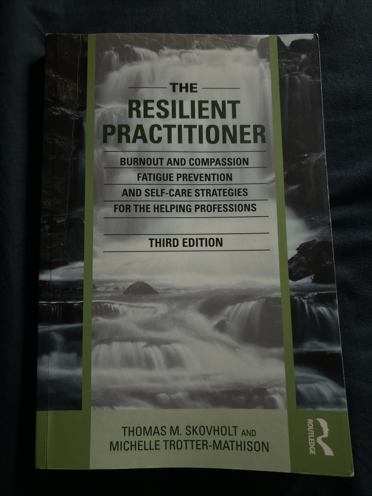 The Resilient Practitioner Third Edition