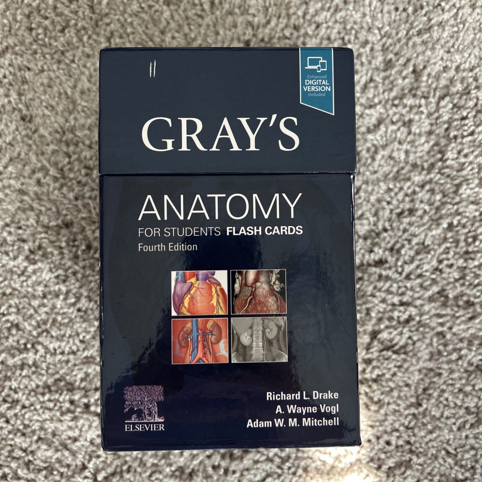Gray&rsquo;s Anatomy for Students Flash Cards by Vogl, Mitchell and Drake