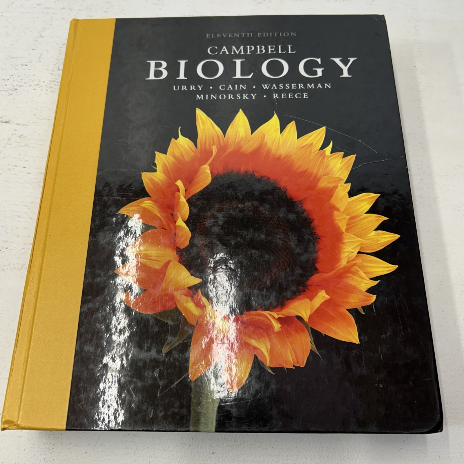 Campbell Biology Ser.: Campbell Biology by Lisa Urry, Steven Wasserman, Michael