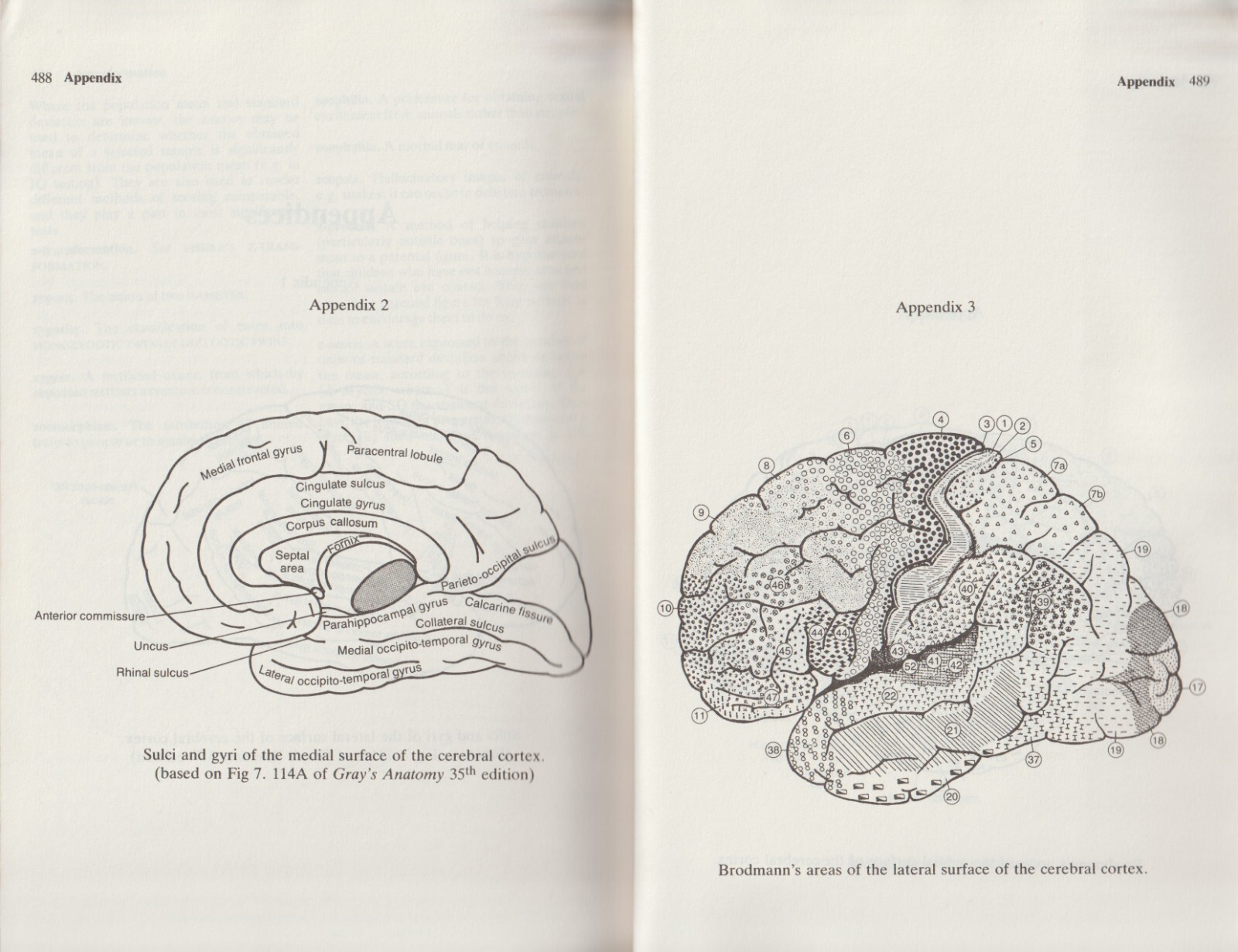 Macmillan Dictionary of Psychology by Stuart Sutherland, 1st. Paperback Edition