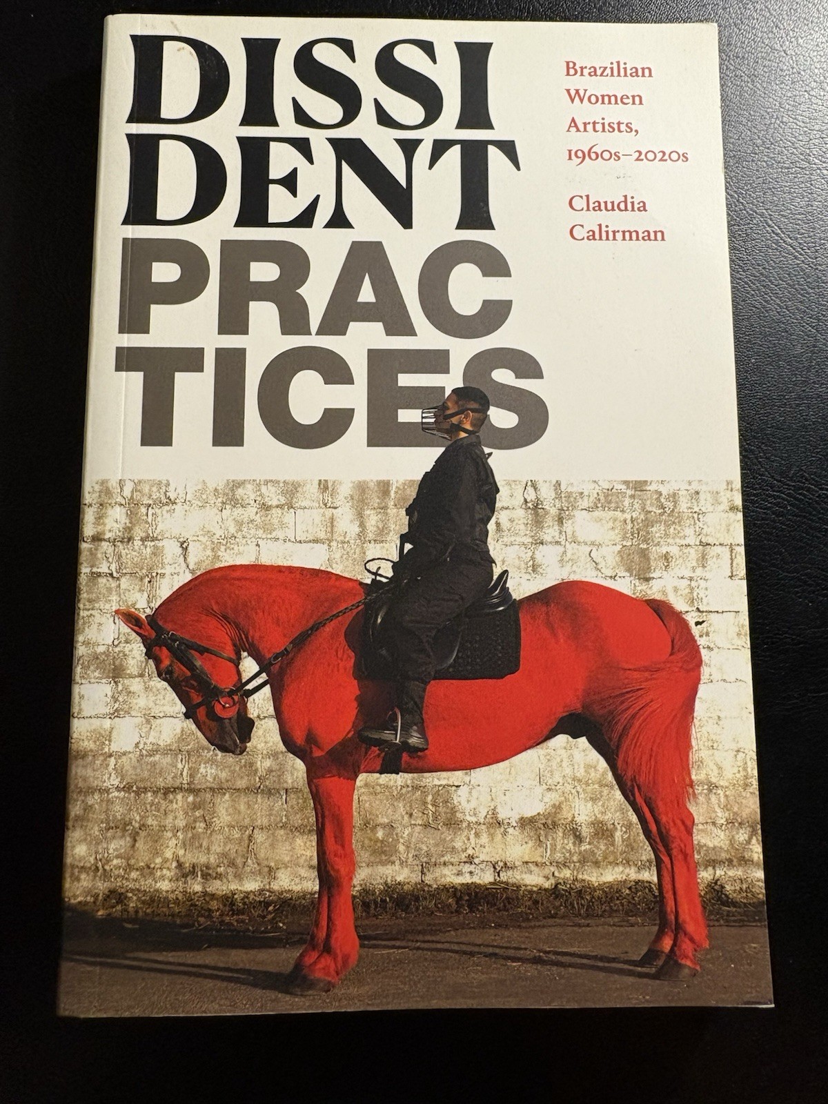 Dissident Practices Brazilian Women Artists Calirman Duke Univ 2023 Art History