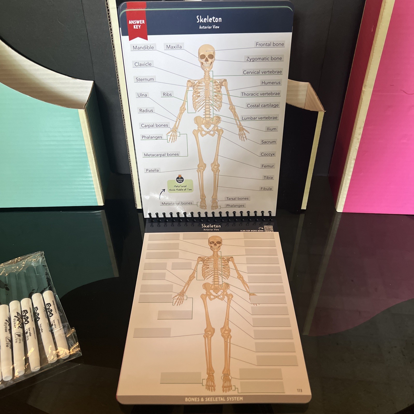 Nurse In The Making Anatomy Label Lab Workbook Laminated Spiral Bound