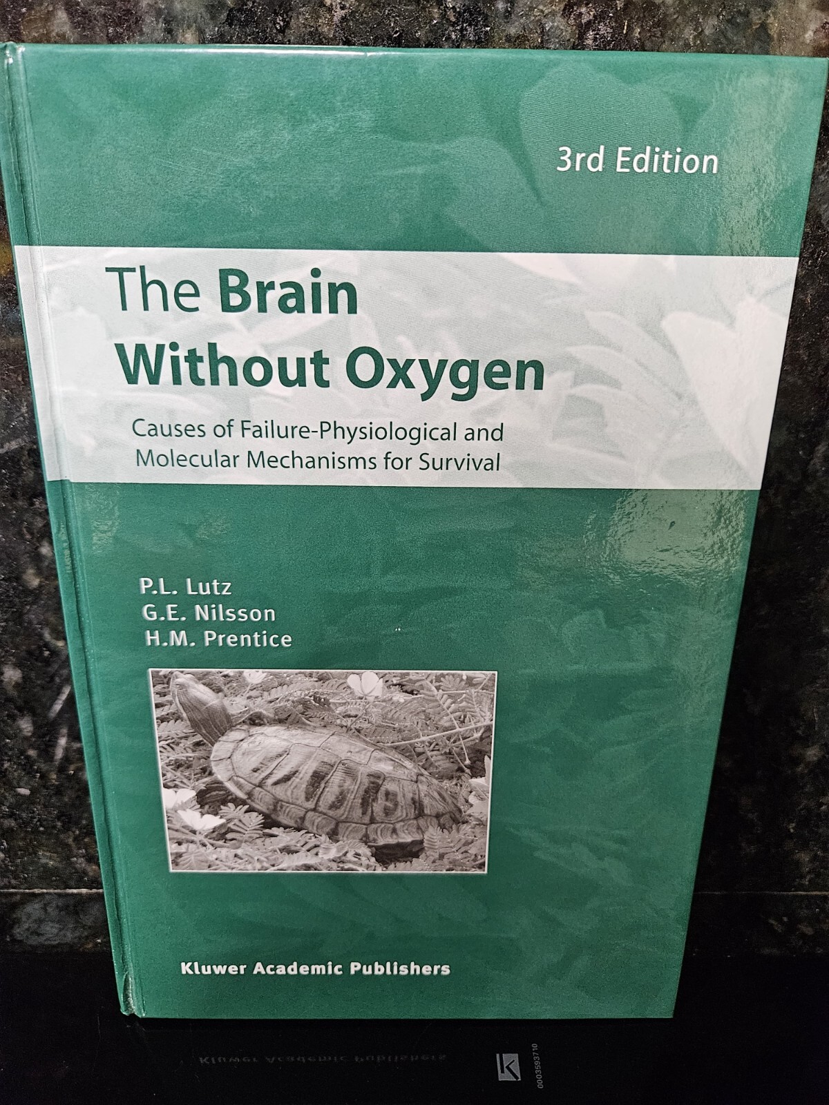 Brain Without Oxygen : Causes of Failure-Physiological and Molecular Mechanisms
