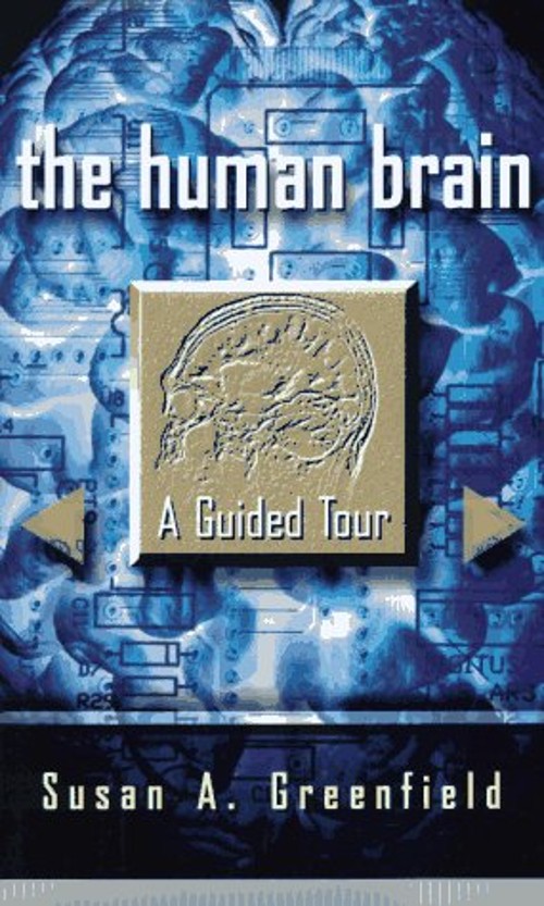 The Human Brain : A Guided Tour Hardcover Susan Greenfield