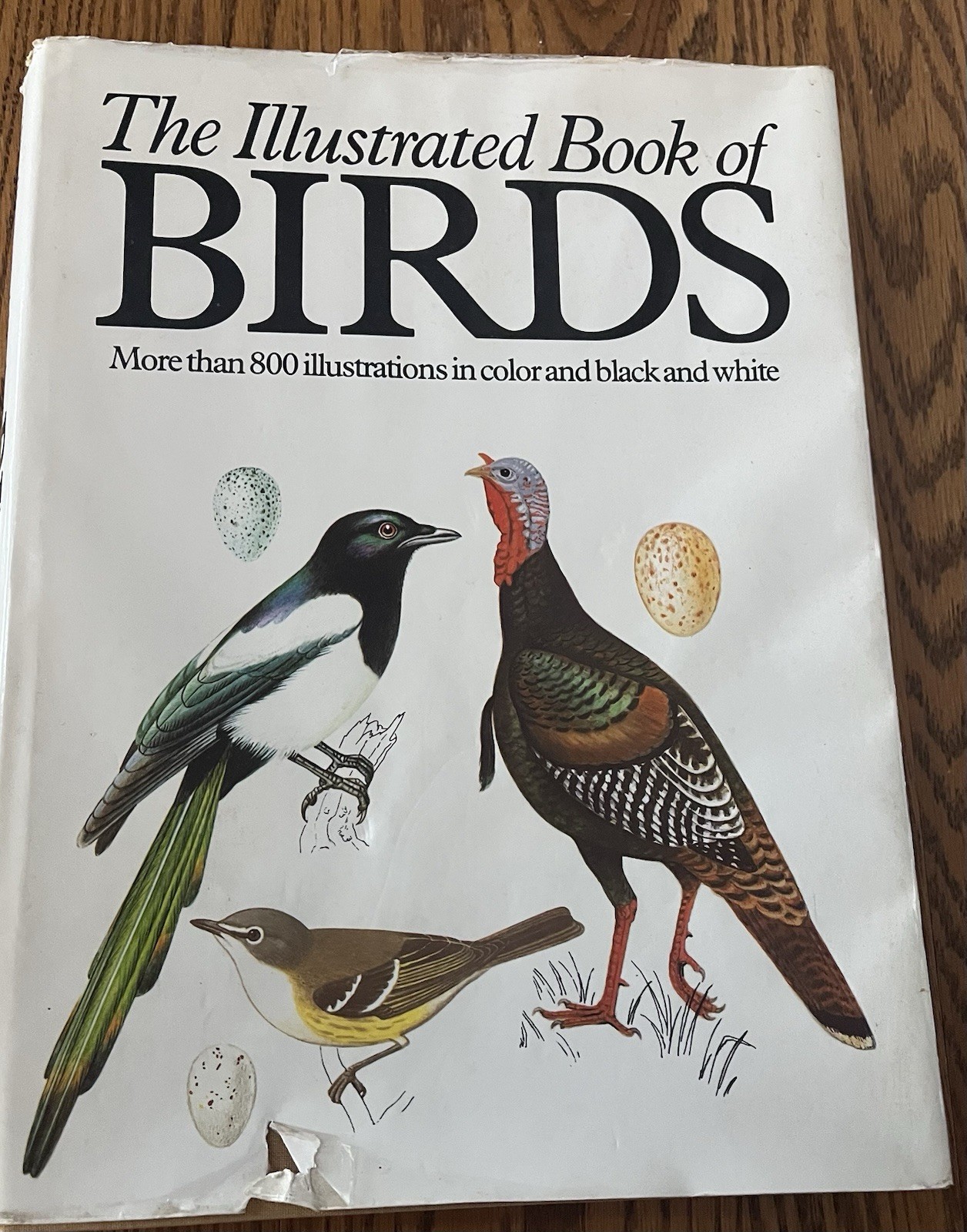 1978 The Illustrated Book Of Birds More Than 800 Illustrations Hardcover Watcher