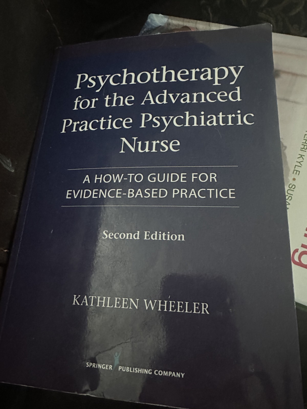 Psychotherapy for the Advanced Practice Psychiatric Nurse PB