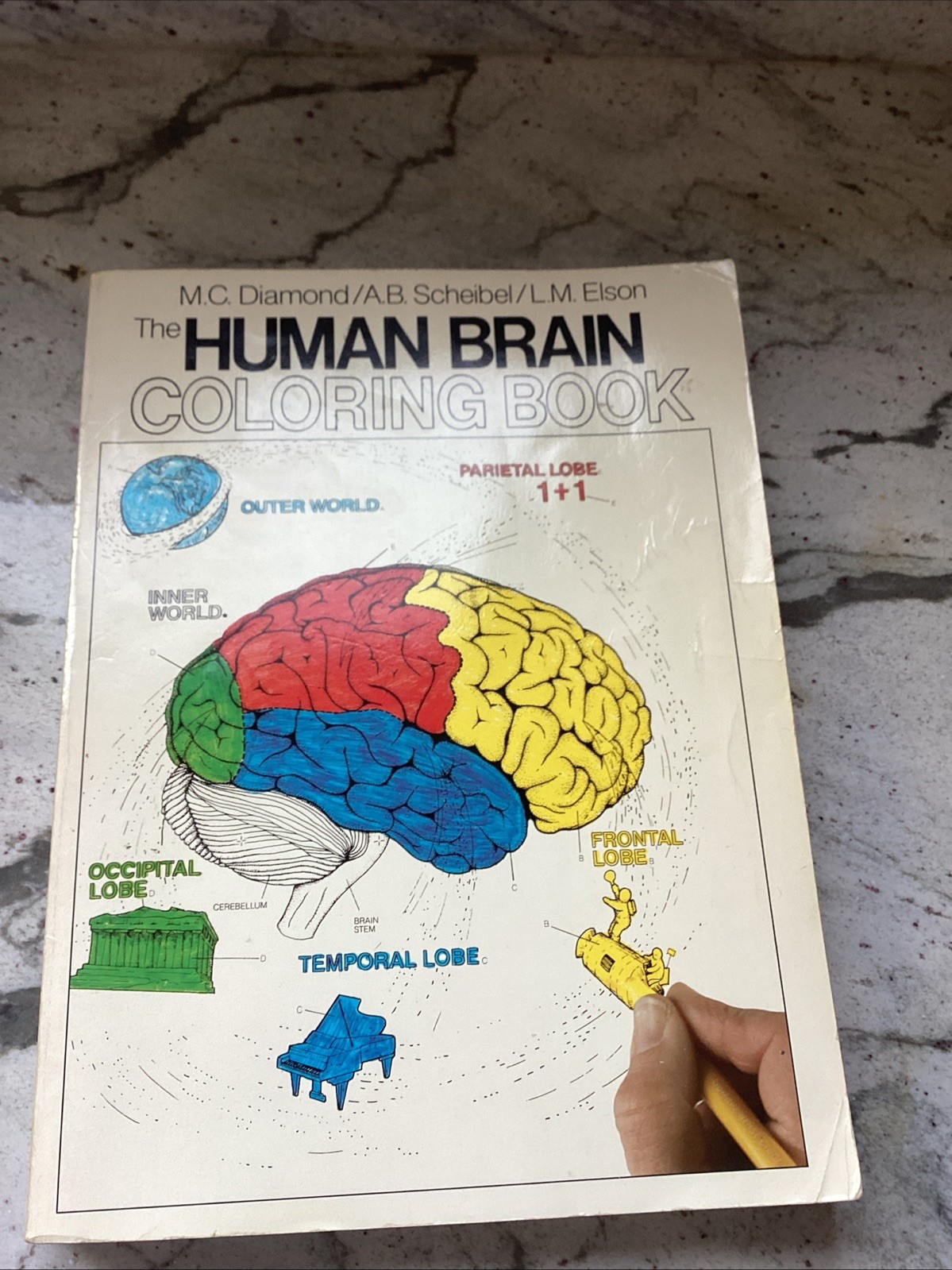 The Human Brain Coloring Book: A Coloring Book (Coloring Concepts) – Paperba…