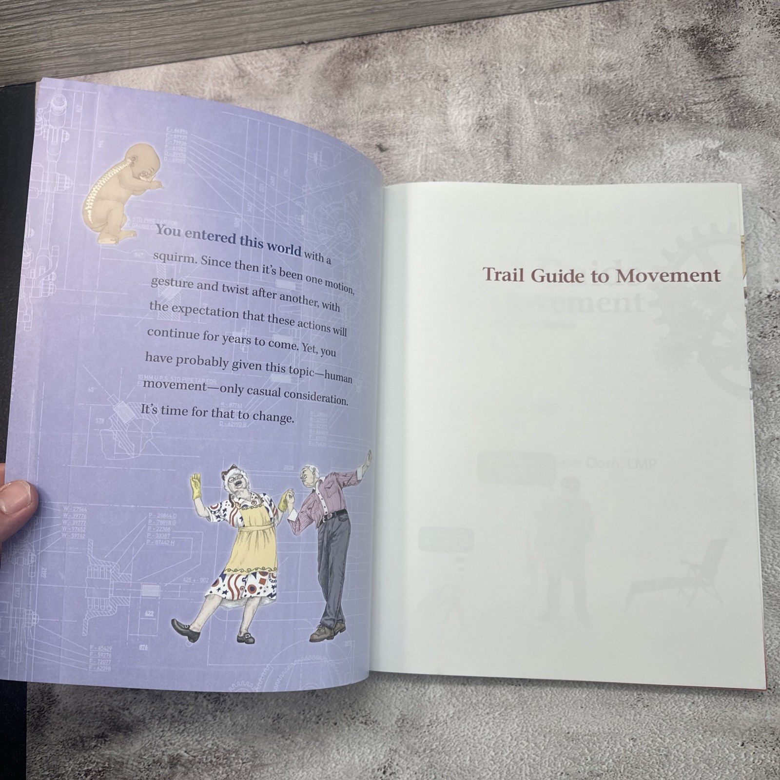 Trail Guide to Movement: Building the Body in Motion by Andrew Biel 1st Ed 2015