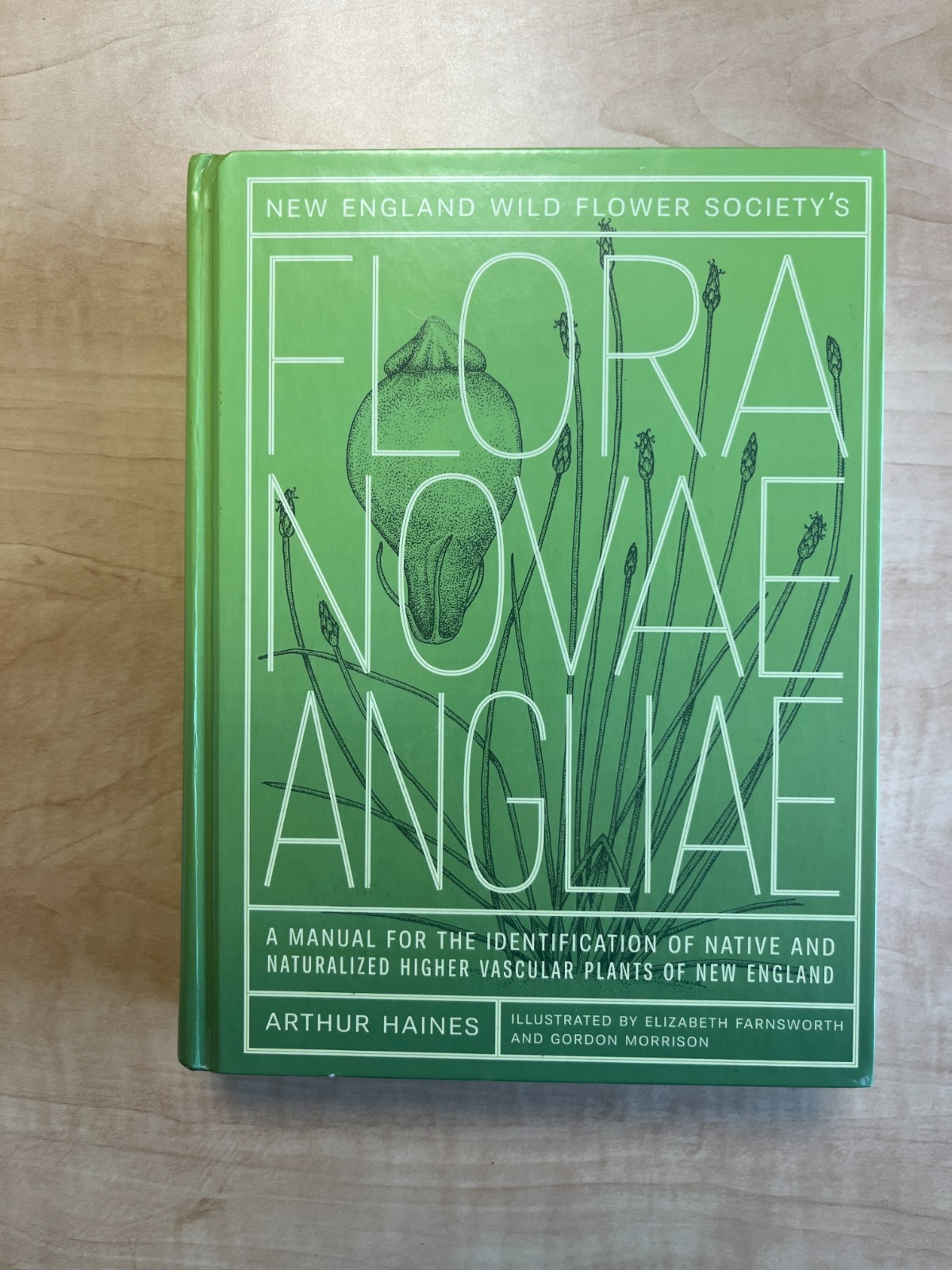 Flora Novae Angliae from New England Wild Flower Society