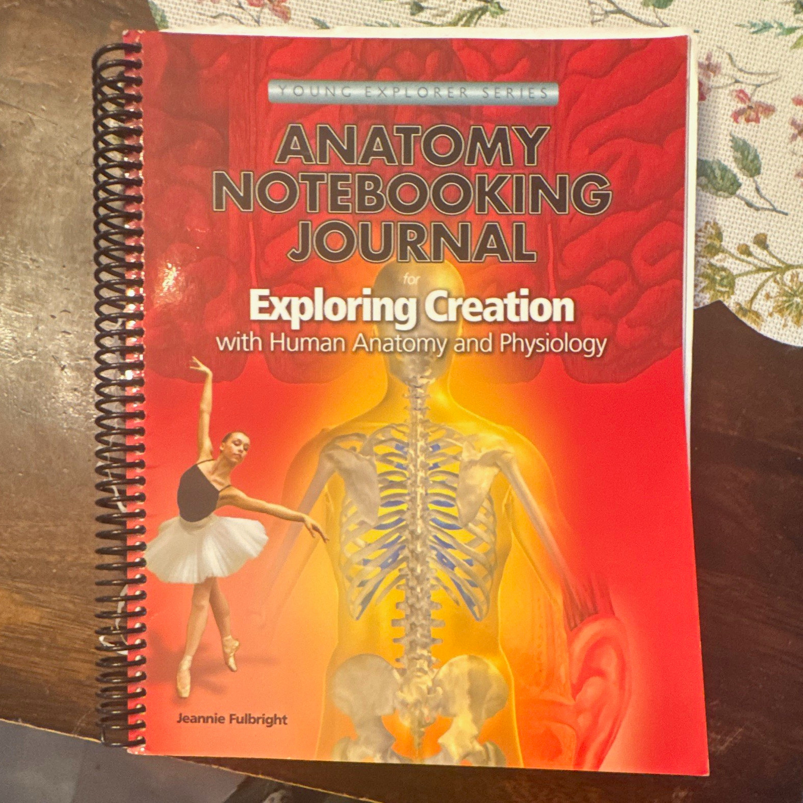 Anatomy Notebooking Journal Human Anatomy Spiral Jeannie Fulbright