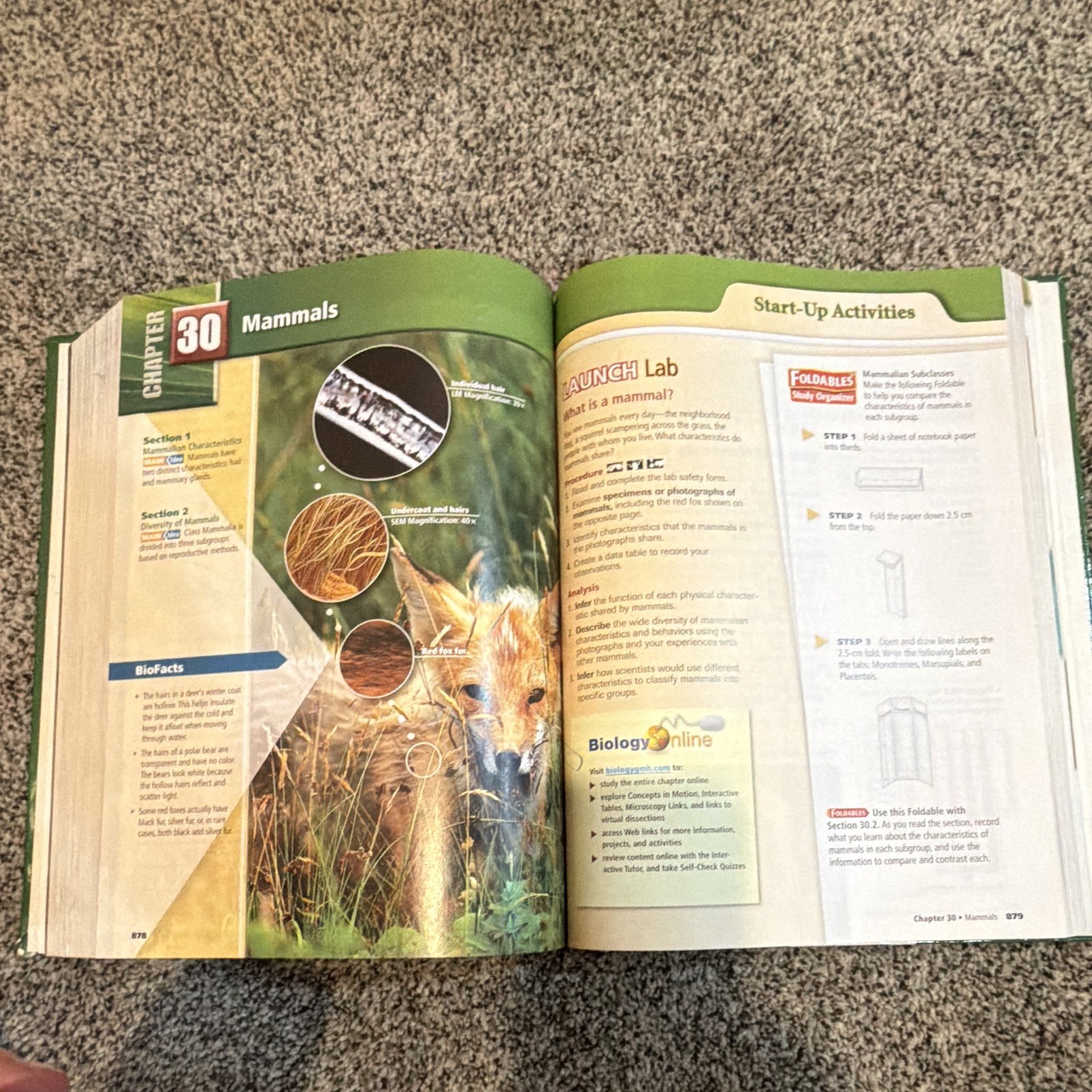 #40 Science Biology Hardcover Textbook 2007 High School Biggs Hagins