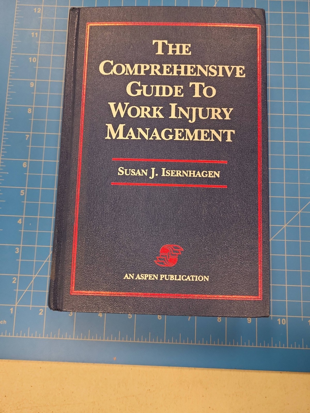 Comprehensive Guide Work Injury Management Susan Isernhagen Hardcover Book