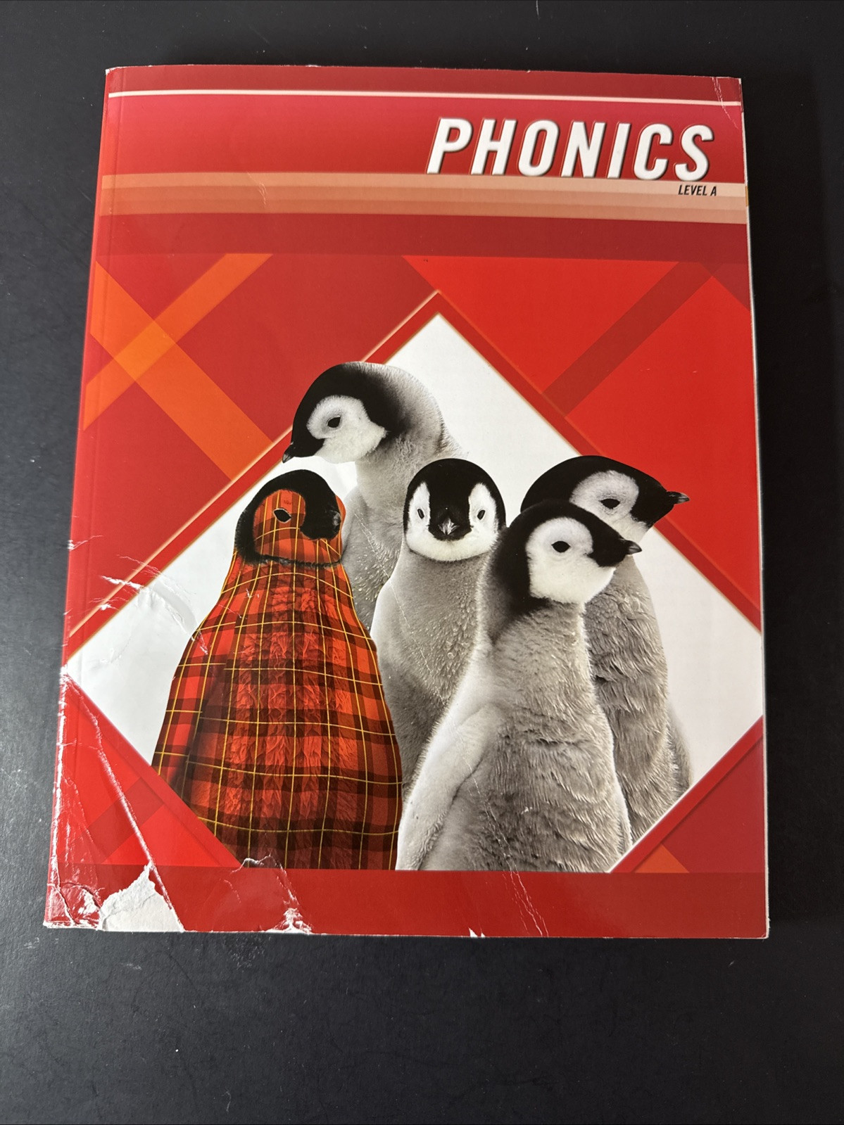 PLAID PHONICS 2011 STUDENT EDITION LEVEL A By Modern Curriculum Press, Damaged C
