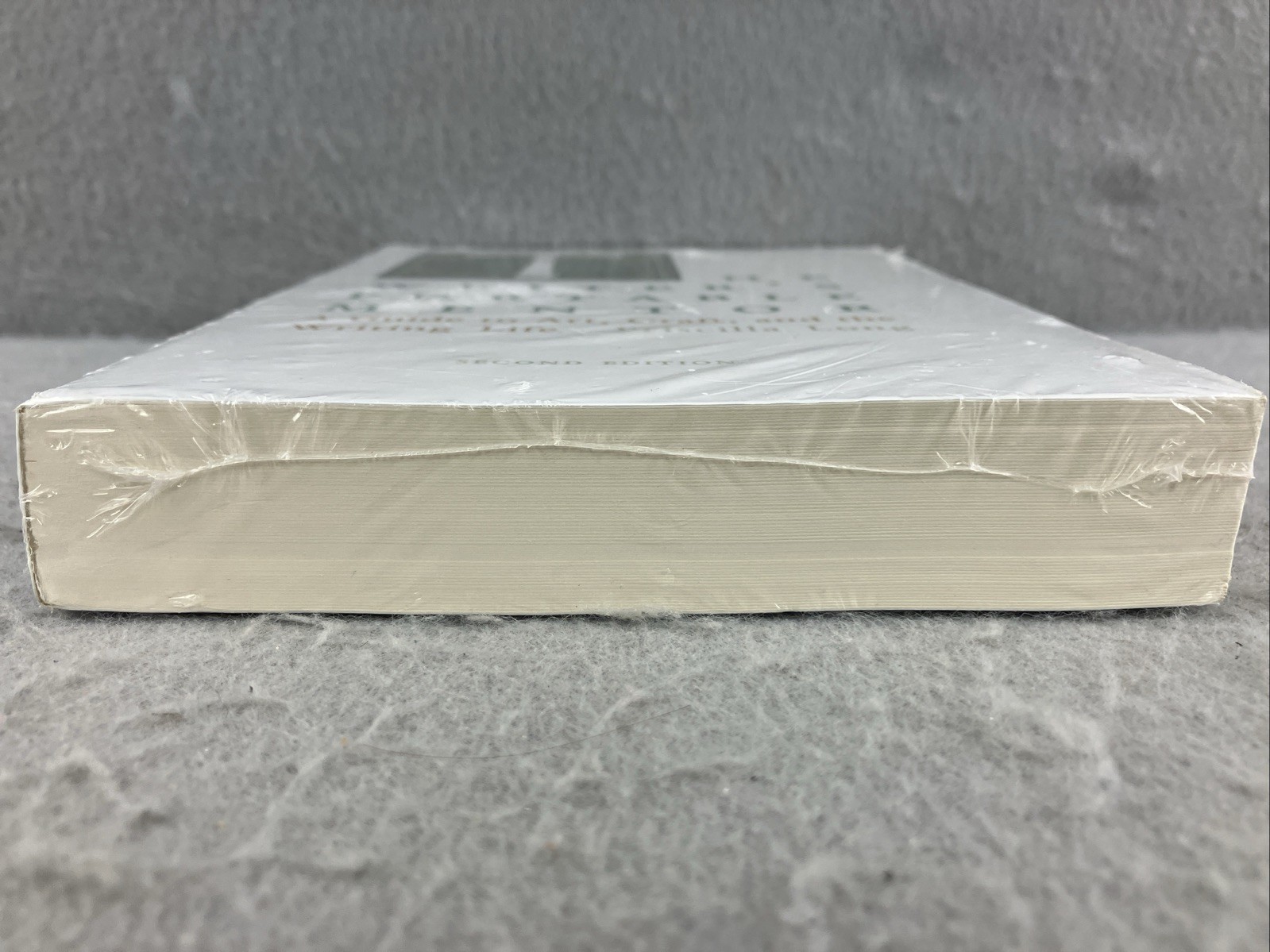The Writer’s Portable Mentor A Guide to Art, Craft, and the Writing Life, Sealed